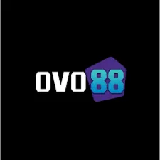 OVO88 - Permainan Gaple Seru dan Menarik